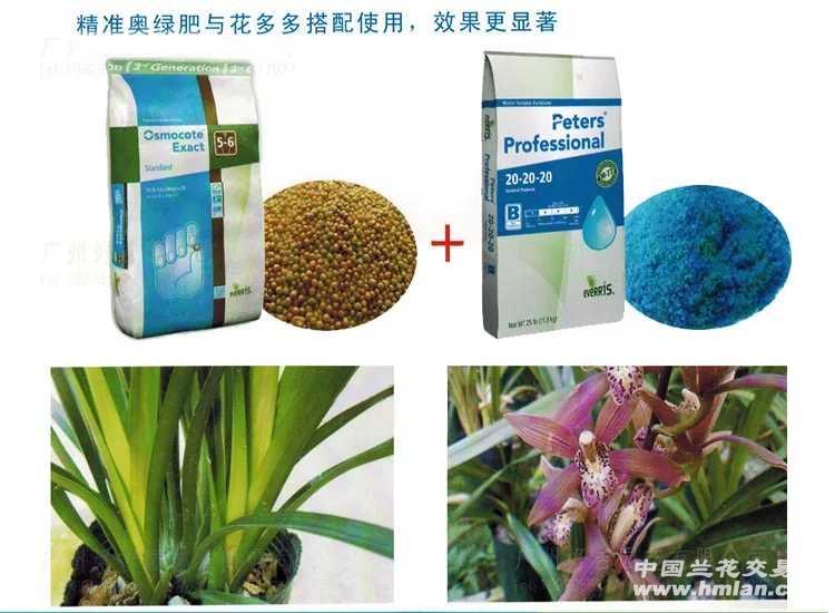 所有分类 植料 肥料 花多多11号兰花专用催花肥1000克包邮!