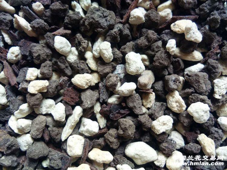 老三样颗粒植料(干品)中颗粒 - 中国兰花交易网